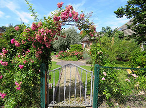 Garten in Carolinensiel
