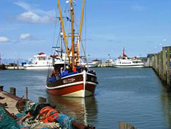 Krabbenkutter im Hafen von Neuharlingersiel