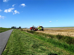 Landwirtschaft in Ostfriesland