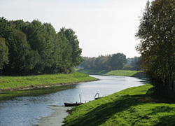 Fischreiches Gewässer beim Schafhauser Wald