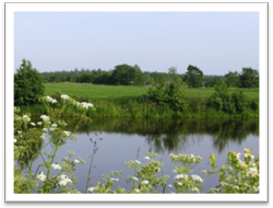 Angeln in Ostfriesland