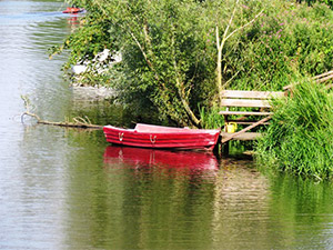 Angeluraub in Ostfriesland