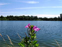 Badesee bei Aurich