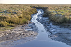 Tide - Ebbe und Flut an der Nordsee