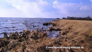 Dorfmuseum in der Haltestelle Holtgast