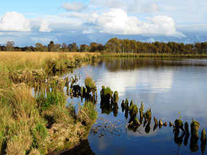 Herbsturlaub Ewiges Meer