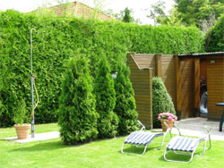 Sauna Garten
