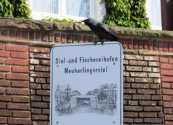 Fischereihafen Neuharlingersiel