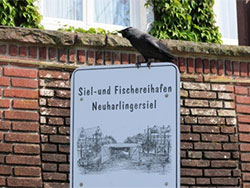 Fischereihafen Neuharlingersiel