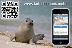 Gsteinformationen durch Fewo App