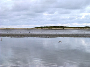 Herbsturlaub am Wattenmeer