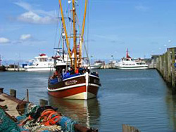 Krabbenkutter im Hafen von Neuharlingersiel