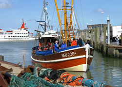 Einlaufender Kutter im Hafen Neuharlingersiel