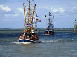 Kutterregatta Neuharlingersiel