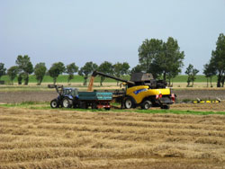 Landwirtschaft Wangerland