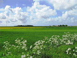 Küstenlandschaft nahe der FeWo