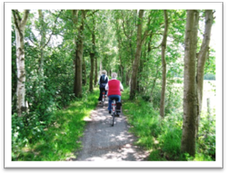 Radeln Ostfriesland Wanderweg