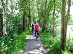 Radfahren Ostfriesland Wanderweg