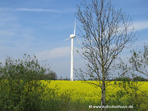 Rapsblten Ostfriesland