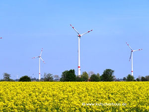 Rapsfelder Windmhlen Ostfriesland