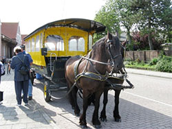 Bauernhöfe vor dem Seedeich