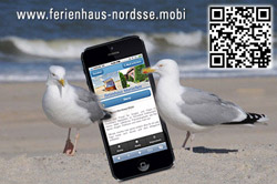 Singleurlaub Ferienhaus Holtgast
