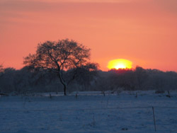 Sonnenuntergang Brill Ostfriesland