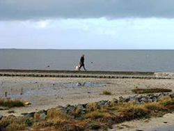 Spazieren an der Nordseeküste im Herbst