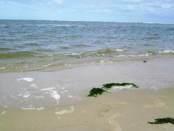 Strand Nordsee