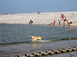 Strand in Neuharlingersiel