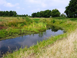 Tief am Schafhauser Wald