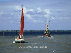 Urlaub Schifftour Neuharlingersiel