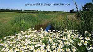 Strandlandschaft auf Spiekeroog