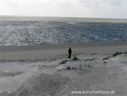 Bauernhöfe vor dem Seedeich